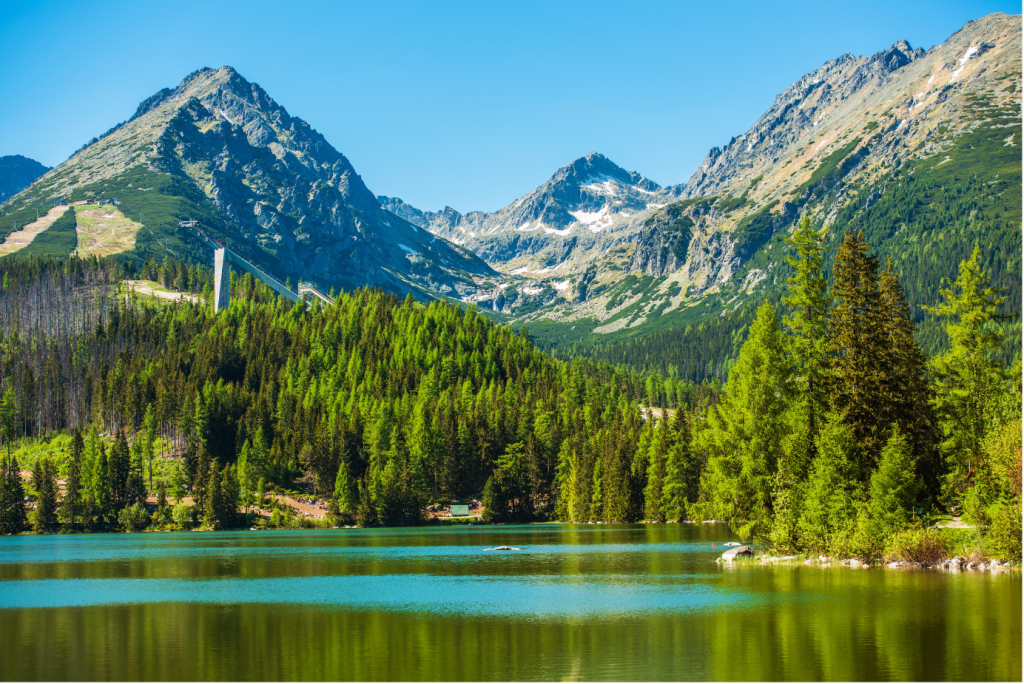 Diseño sin título (2)